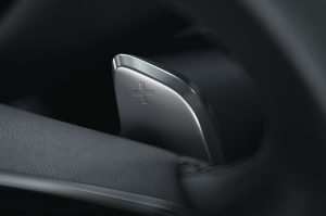 Paddle shifters